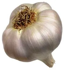 Sarımsak