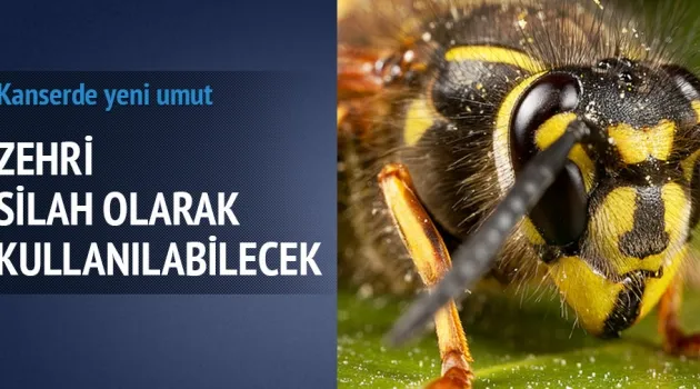 Kanserde yeni umut