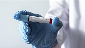 Koronavirüs salgını ve hukuk