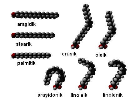 Temel yağ asitten – güzelleştirici yağlar