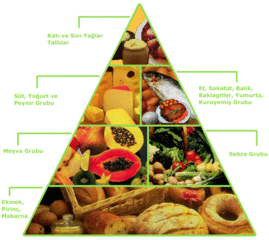 Beslenme piramidi (Fransa ve Okinavva karşılaştırmak için)