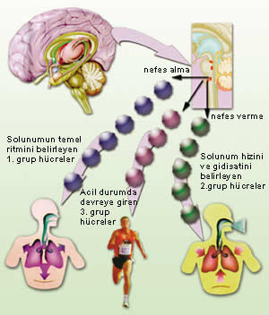 Derin nefes alma