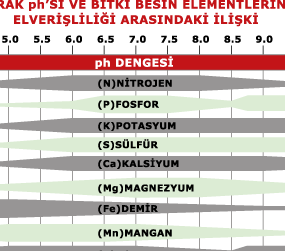 PH dengenizi sağlayın