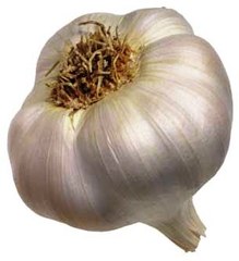 Sarımsak