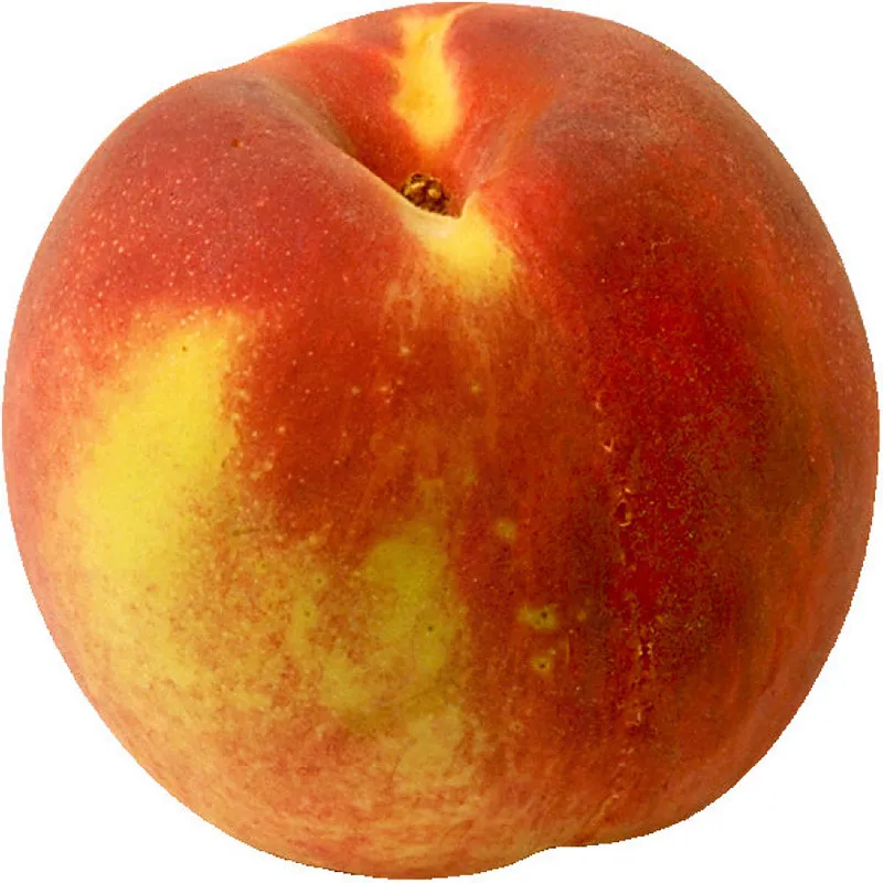 Şeftali