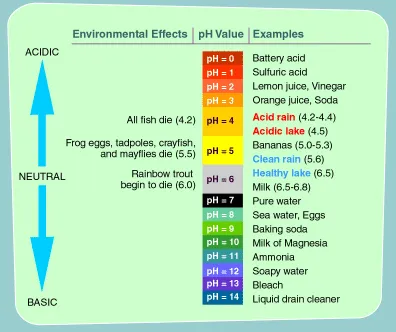 pH’ınızı yükseltin