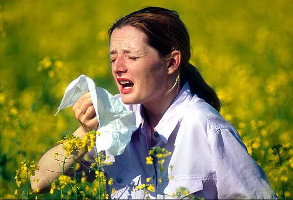 Alerji ve bahar nezlesi