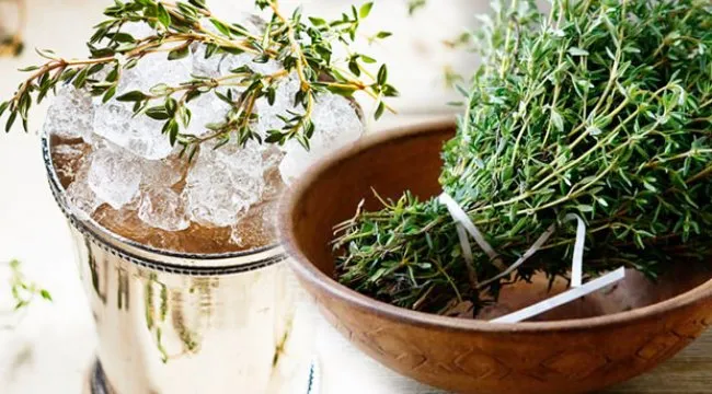 Kekik suyuyla kolayca zayıflamanın yolları - Kolay Kekik suyu diyeti listesi