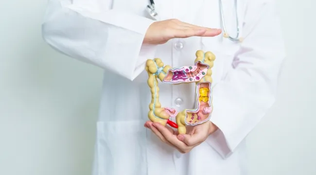 Bağırsak Sağlığı ve Beslenmenin Hayati İlişkisi