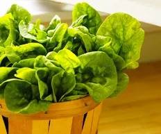 7 günlük vejetaryen öğün planları