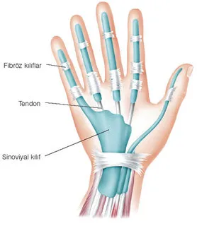 Artrit nedir? türleri? tedavisi?