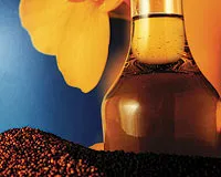 Ekstre edilmiş yağlar