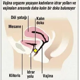 G noktasının yeri bulundu