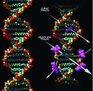 Geçmiş her şey demek değildir