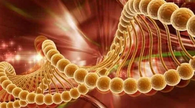 Kansere ve metal zehirlenmelere kalkan: Selenyum