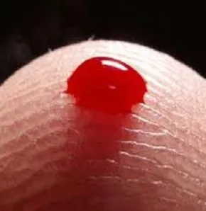 Kim kan grubunu doğru biliyor?