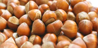 Sırrı kabuğun içinde