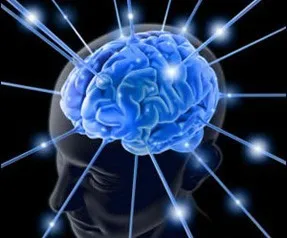 Tam formunda bir beyin