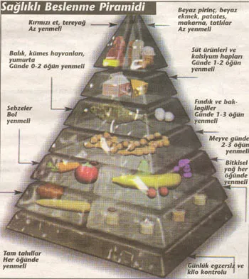 USDA Yiyecek rehberi piramidi
